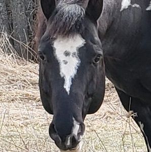 Meet your Posher, Claire